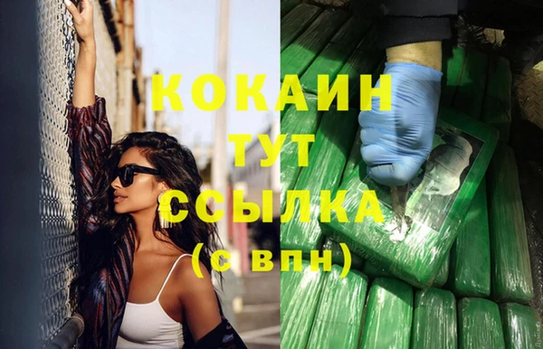 тгк Верея
