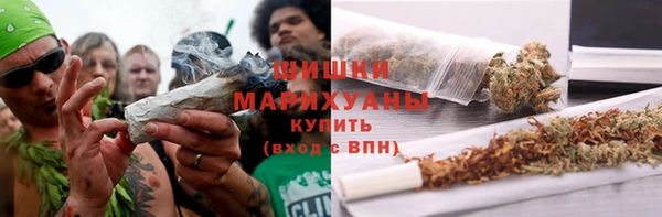 стафф Верхний Тагил