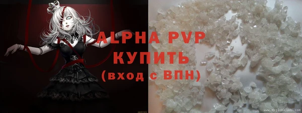 стафф Верхний Тагил