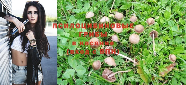 стафф Верхний Тагил