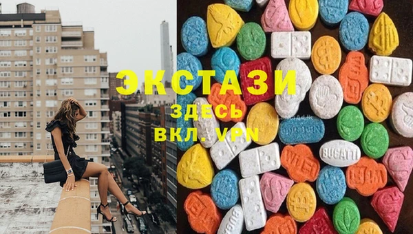 a pvp Ростов