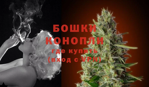 тгк Верея