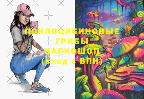 стафф Верхний Тагил